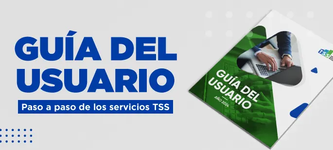 Gu&iacute;a del usuario