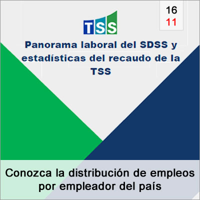 Distribucion Empleos Por Empleador